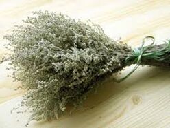 Wormwood powder helps fight against parasites