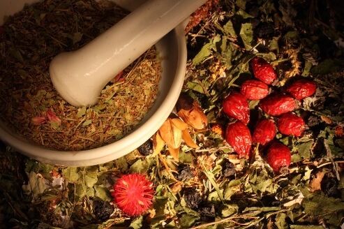 plants for removing parasites from the body